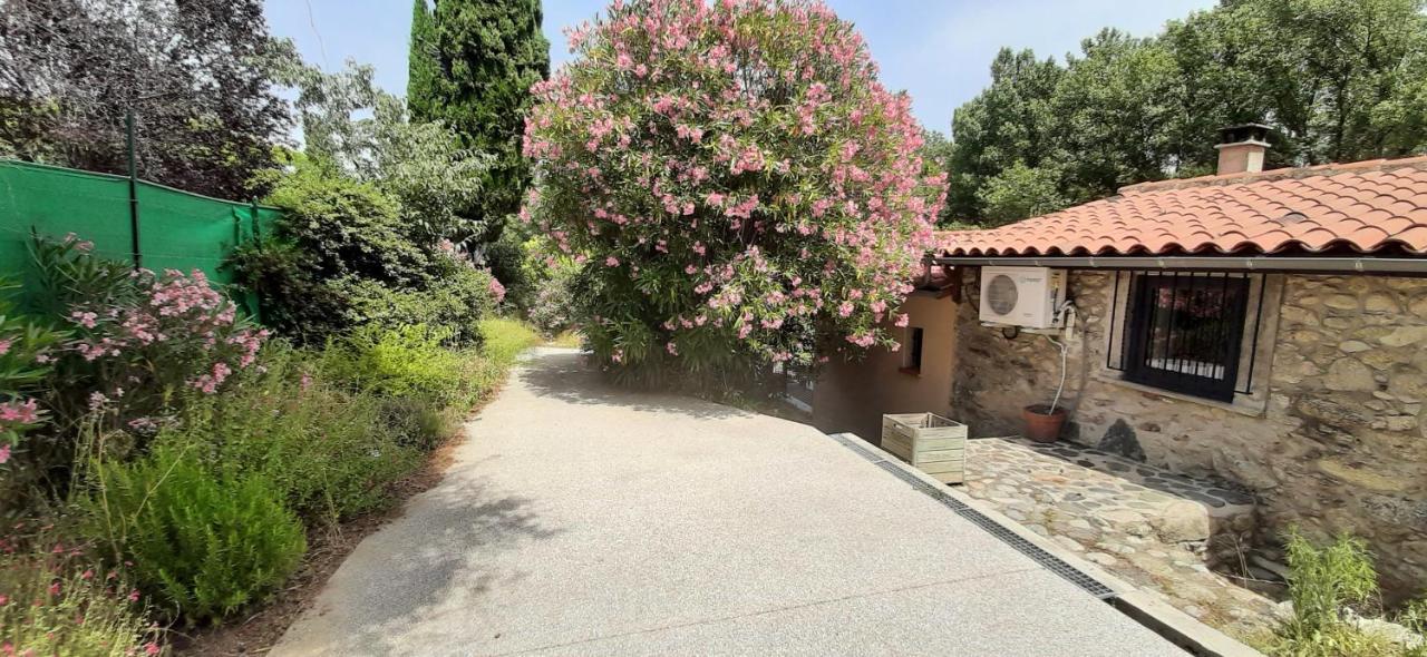 Gite De Charme Dans Mas Catalan プラード エクステリア 写真